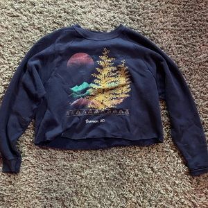 Vintage Cropped Crewneck